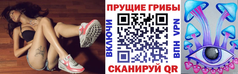 Купить где  Невель  Псилоцибиновые грибы GOLDEN TEACHER 